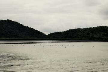 Paraná, um pouco do litoral, em paranaguá.