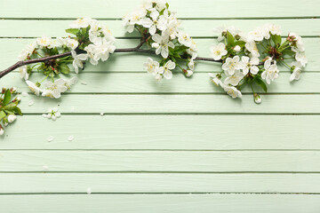 Beautiful blossoming branch on green wooden background
