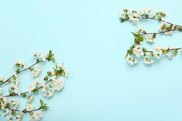 Beautiful blossoming branches on blue background