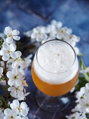 Seasonal craft spring beer on the table with branches of blooming white cherry