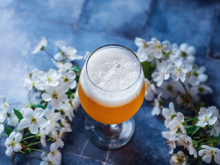 Seasonal craft spring beer on the table with branches of blooming white cherry