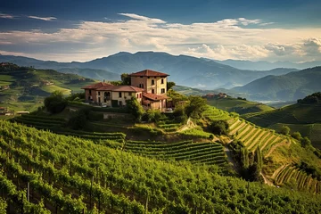 Rolgordijnen Scenic vineyard in Italy at summer day © neirfy