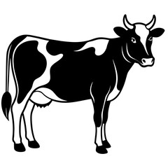 black and white cow