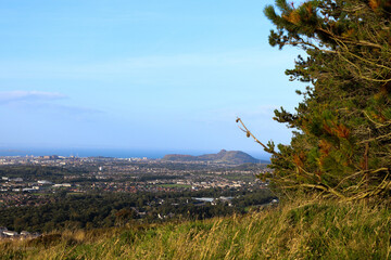 view of the city from above