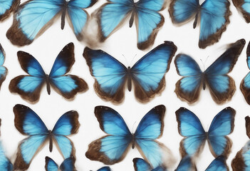 Wings of a butterfly Morpho Morpho butterfly wings isolated on a white background background of butterflies on white