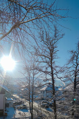 Winter landscape in a town, with the Alps mountains in the background. Trees in hoarfrost against a beautiful morning sky on a frosty morning. Snow cannons spread snow on the slopes.