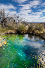 Rogers Spring in Ash Meadows National Wildlife Refuge near Death Valley National Park, Las Vegas, and Pahrump, Nevada