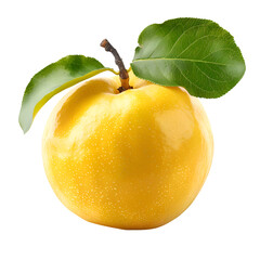  A detailed image of a quince, its yellow skin fresh and vibrant, isolated on a Transparent background, PNG Cutout