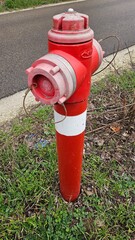 Fire Hydrant with Traffic Cone