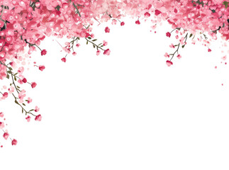 Obraz na płótnie Canvas PNG Flower backgrounds outdoors blossom
