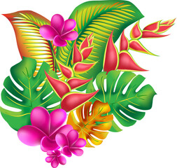 jungle flower,leaves  tropic set. isolated elements. Palm leaf, monstera, pink plumeria flower,hibiscus blossom, exotic tropical summer flowers and leaves. - 786703900