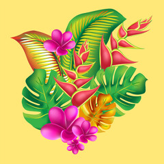 jungle flower,leaves  tropic set. isolated elements. Palm leaf, monstera, pink plumeria flower,hibiscus blossom, exotic tropical summer flowers and leaves. - 786703909
