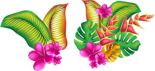 jungle flower,leaves  tropic set. isolated elements. Palm leaf, monstera, pink plumeria flower,hibiscus blossom, exotic tropical summer flowers and leaves. - 786703940