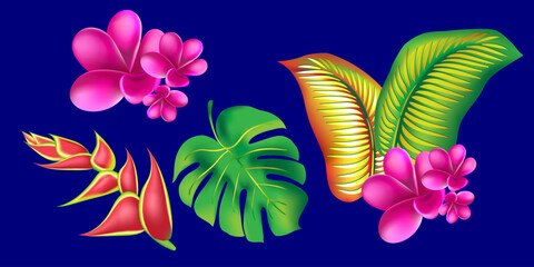 jungle flower,leaves  tropic set. isolated elements. Palm leaf, monstera, pink plumeria flower,hibiscus blossom, exotic tropical summer flowers and leaves. - 786703957