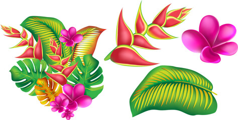 jungle flower,leaves  tropic set. isolated elements. Palm leaf, monstera, pink plumeria flower,hibiscus blossom, exotic tropical summer flowers and leaves.