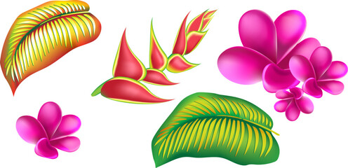 jungle flower,leaves  tropic set. isolated elements. Palm leaf, monstera, pink plumeria flower,hibiscus blossom, exotic tropical summer flowers and leaves. - 786703981