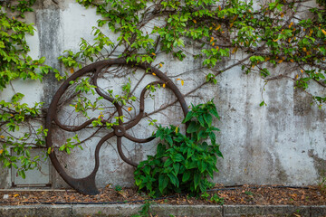 Garden decoration with old wooden cart wheel. 