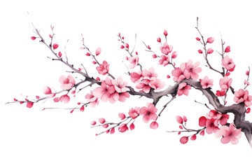 PNG Cherry blossom chinese ink flower plant inflorescence - obrazy, fototapety, plakaty