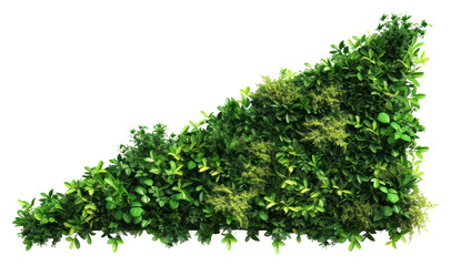 PNG Living wall plant vegetation hedge - obrazy, fototapety, plakaty
