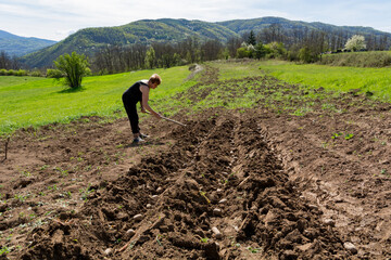 Female farmer using a hoe to plant potatoes in a field on a sunny spring day in the countryside, showcasing organic farming as a hobby and lifestyle