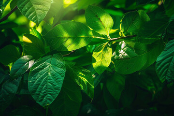 A close-up shot of sunlight filtering through dense foliage, casting dappled shadows on vibrant green leaves, with hints of yellow peeking through -