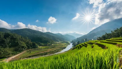Foto op Canvas A beautiful rice paddy terraces in the mountains with a river running thru the valley © intricateflow