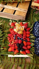 Close-up of an arrangement of mixed berries