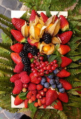 Close-up of an arrangement of mixed berries - 786712186