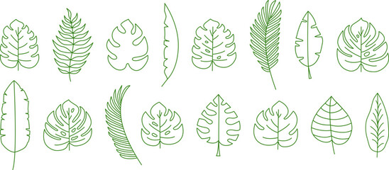 Palm leaf line icon, tropic tree, banana leaves, jungle plant, exotic foliage set outline design. Cartoon summer fern, botanical collection, simple green silhouettes. Hawaiian vector illustration