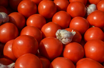 Close-up view of fresh, ripe red tomatoes with a distinct garlic bulb nestled among them, symbolizing freshness, organic produce, and healthy ingredients