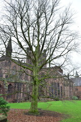 Nautreza e infrainstruturas