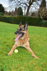 Pastor Alem&atilde;o