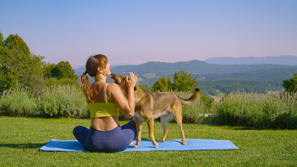 Lady in yellow top is having trouble doing yoga because her dog distracts her - obrazy, fototapety, plakaty