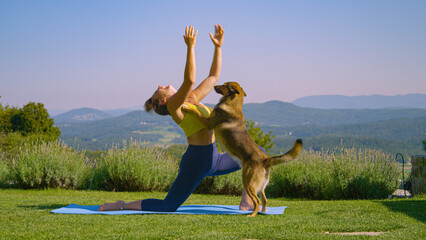 Brown doggo gives paw to a young woman as she stretches towards him during yoga