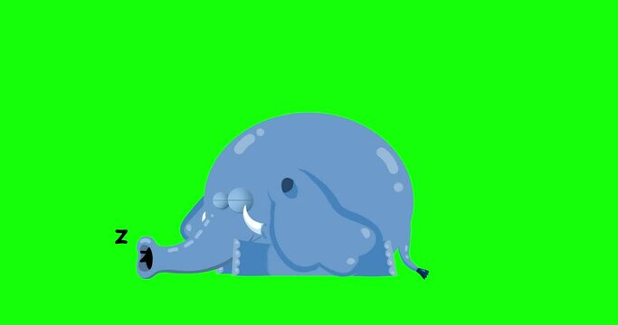 Cartoon blue elephant animation sleep greenbox. Animated character isolated chromakey. Good for any material for kids, adverts, etc...