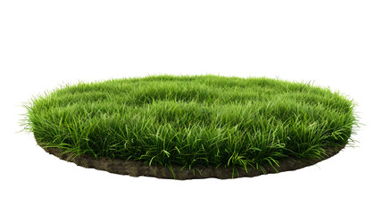 grass green circle land ground floor garden or garden earth soil land layer and green grass floor circle section land isolated on white background. 3d illustration render