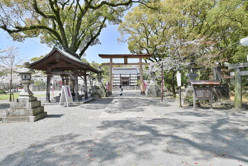 鳥居と神社本堂の風景