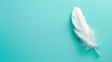 Single white feather lies on solid turquoise background