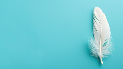 White feather on solid blue background, space for text