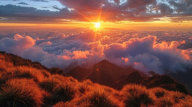 A panoramic sunset view from the top of Mount Pulag, with golden rays painting the sky in hues of orange and pink