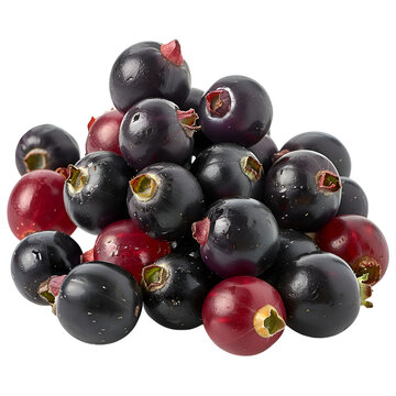  An HD image of fresh crowberries, small and glossy black, isolated on a Transparent background, PNG Cutout