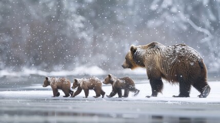 A mother bear leading her cubs across a frozen stream, the soft snowfall adding a magical quality to their winter journey, showcasing the protective instinct and tender care within the animal kingdom.