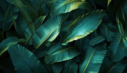 Lush banana leaves in a tropical banner, bursting with vibrant greens 🌿🌴 Perfect for exotic-themed events or adding a touch of paradise to your designs! #TropicalFoliageBanner