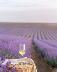 Glass of white wine in a lavender field. Violet flowers on the background. - 786741747