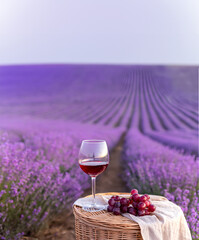 Glass of white wine in a lavender field. Violet flowers on the background. - 786742139