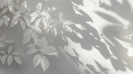 Delicate play of light and shadow with leaves on a bright white wall, creating a soft and peaceful ambiance.