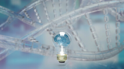 The Brain light bulb on dna background  for education or creative inspiration concept 3d rendering.