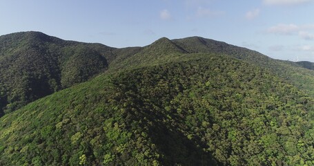奄美の山々、奄美の自然、湯湾岳