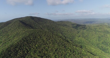 奄美の山々、奄美の自然、湯湾岳