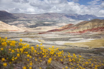 Beautiful and colorful landscape of the Painted Hills in Eastern Oregon, near John Day. - 786750550